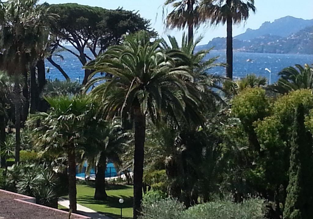 Sea Side Apartment Cannes Eksteriør billede